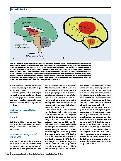 Vorschauseite 2: Hirntodkriterium und Organspende: aktuelle neurowissenschaftliche Perspektive