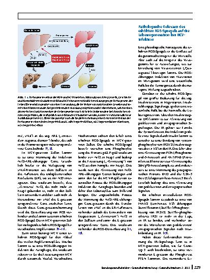 Vorschauseite 2: Hepatitis B und C: Mechanismen der virusinduzierten Leberpathogenese und Tumorentstehung