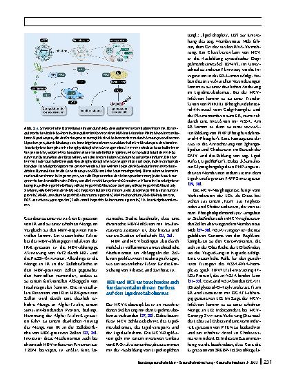 Vorschauseite 4: Hepatitis B und C: Mechanismen der virusinduzierten Leberpathogenese und Tumorentstehung