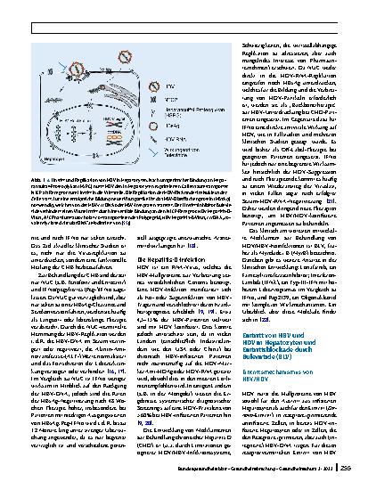 Vorschauseite 2: Bulevirtide als erster spezifischer Wirkstoff gegen Hepatitis-D-Virusinfektionen – Mechanismus und klinische Wirkung