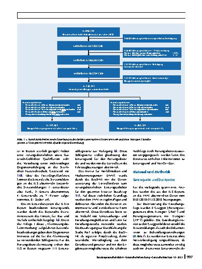 Vorschauseite 2: Unterschiede zwischen Rettungsdiensteinsätzen mit und ohne Patiententransport