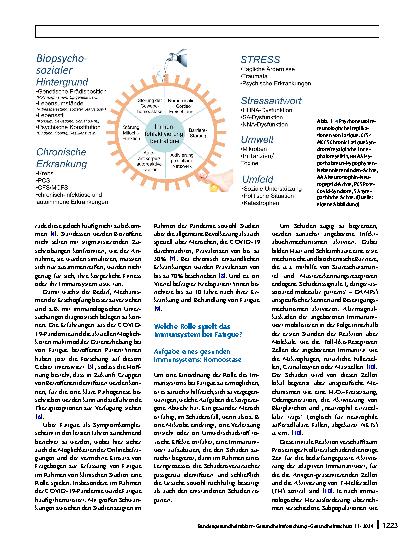 Vorschauseite 2: Immunologische Aspekte und Stressregulation bei Fatigue