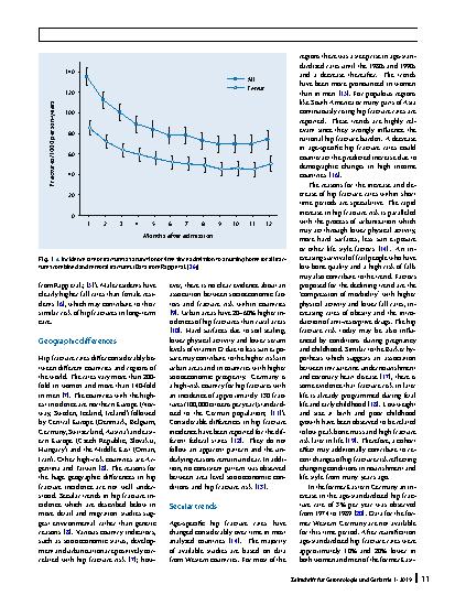 Vorschauseite 2: Epidemiology of hip fractures