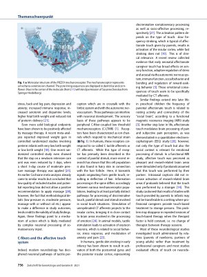 Vorschauseite 4: Massage and touch-based therapy