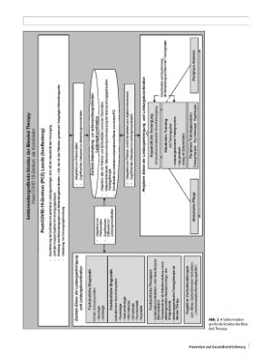 Vorschauseite 5: Sektorenübergreifendes beanspruchungsgesteuertes Blended-Therapy-Konzept für Post-COVID-19-Patienten