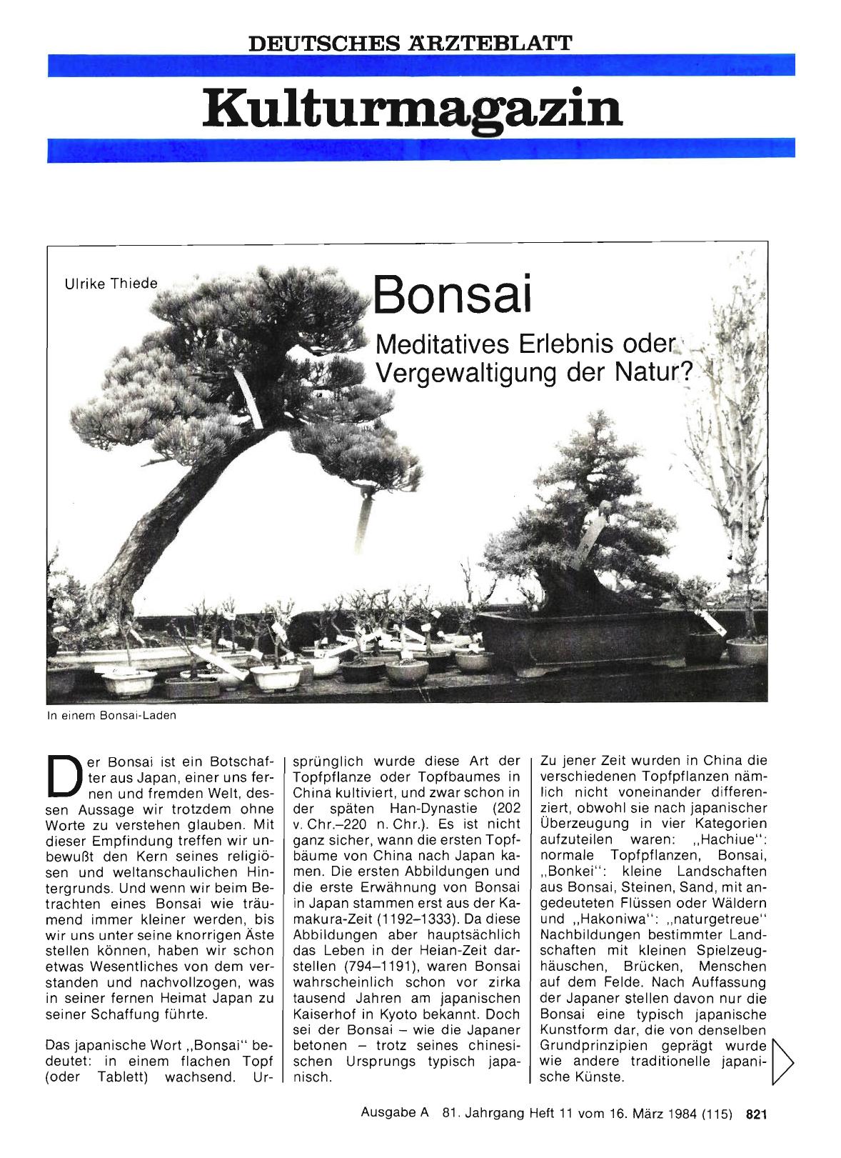 Vorschauseite 1: Bonsai — Meditatives Erlebnis oder Vergewaltigung der Natur?