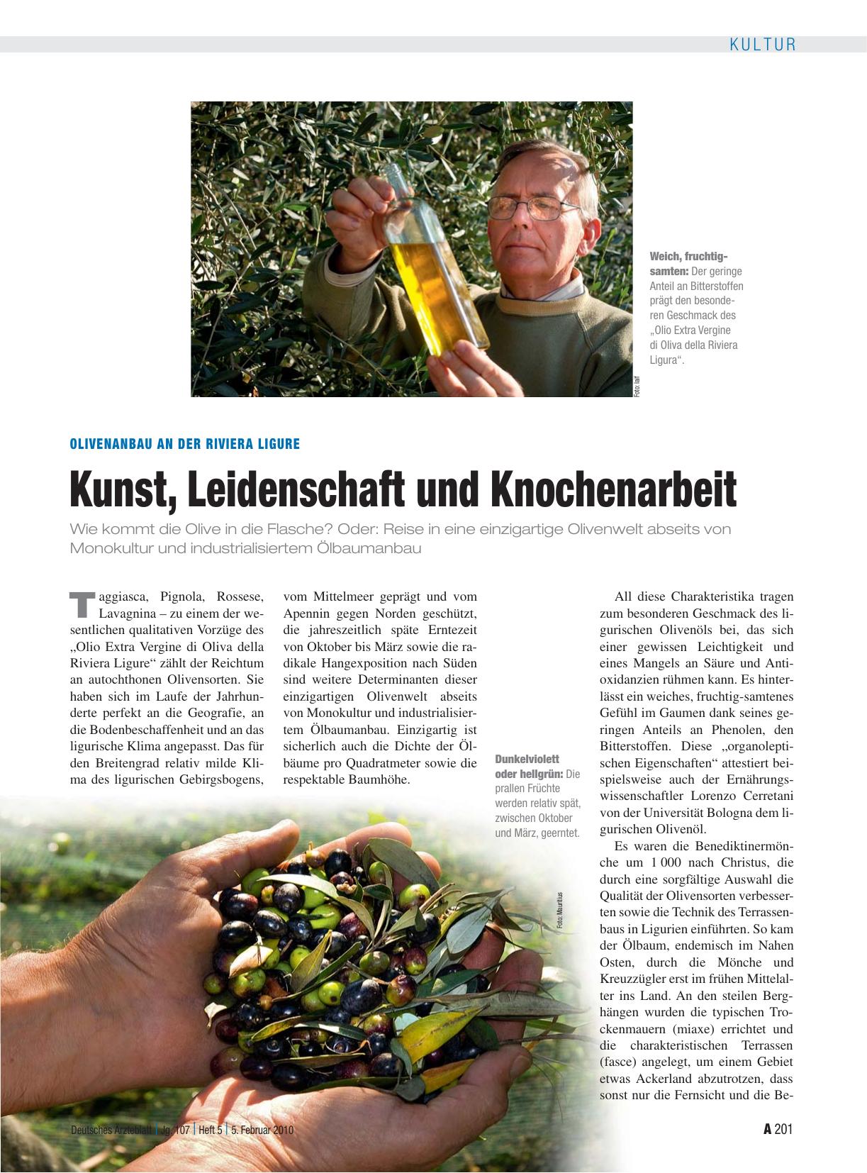 Vorschauseite 1: Olivenanbau an der Riviera Ligure: Kunst, Leidenschaft und Knochenarbeit