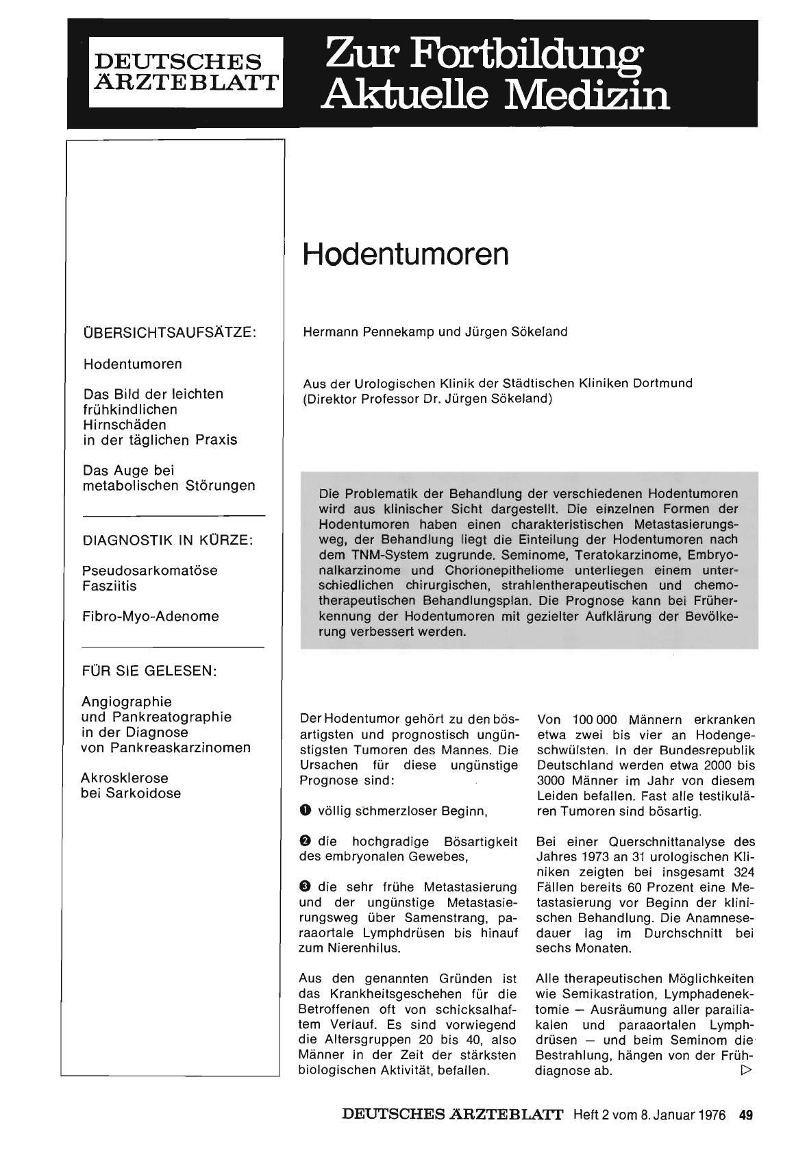Vorschauseite 1: Hodentumoren