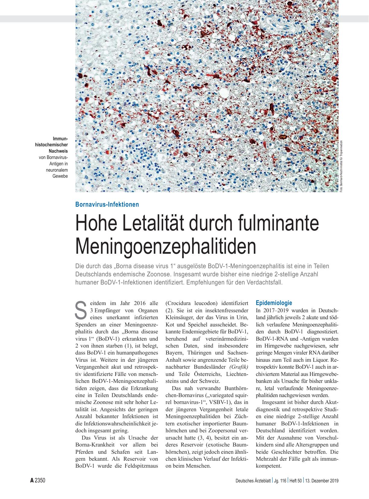 Vorschauseite 1: Bornavirus-Infektionen: Hohe Letalität durch fulminante Meningoenzephalitiden