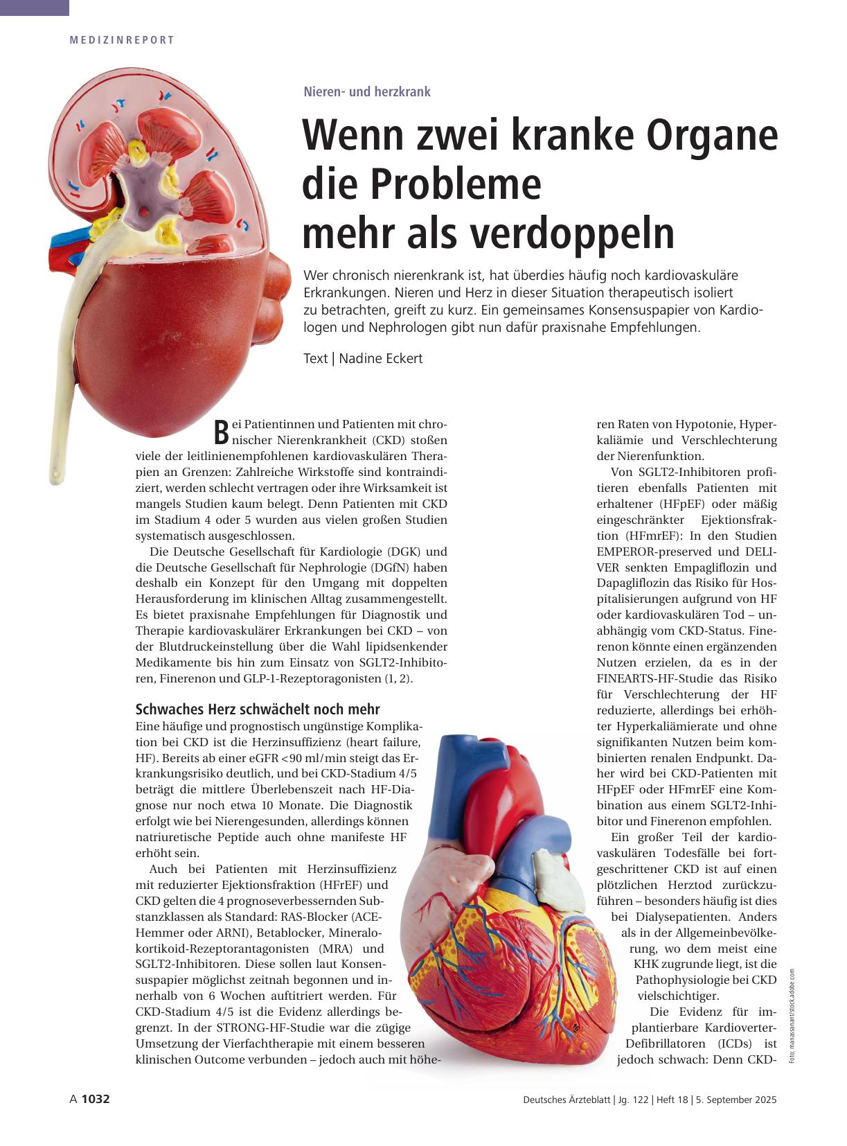 Vorschauseite 1: Nierenund herzkrank: Wenn zwei kranke Organe die Probleme mehr als verdoppeln