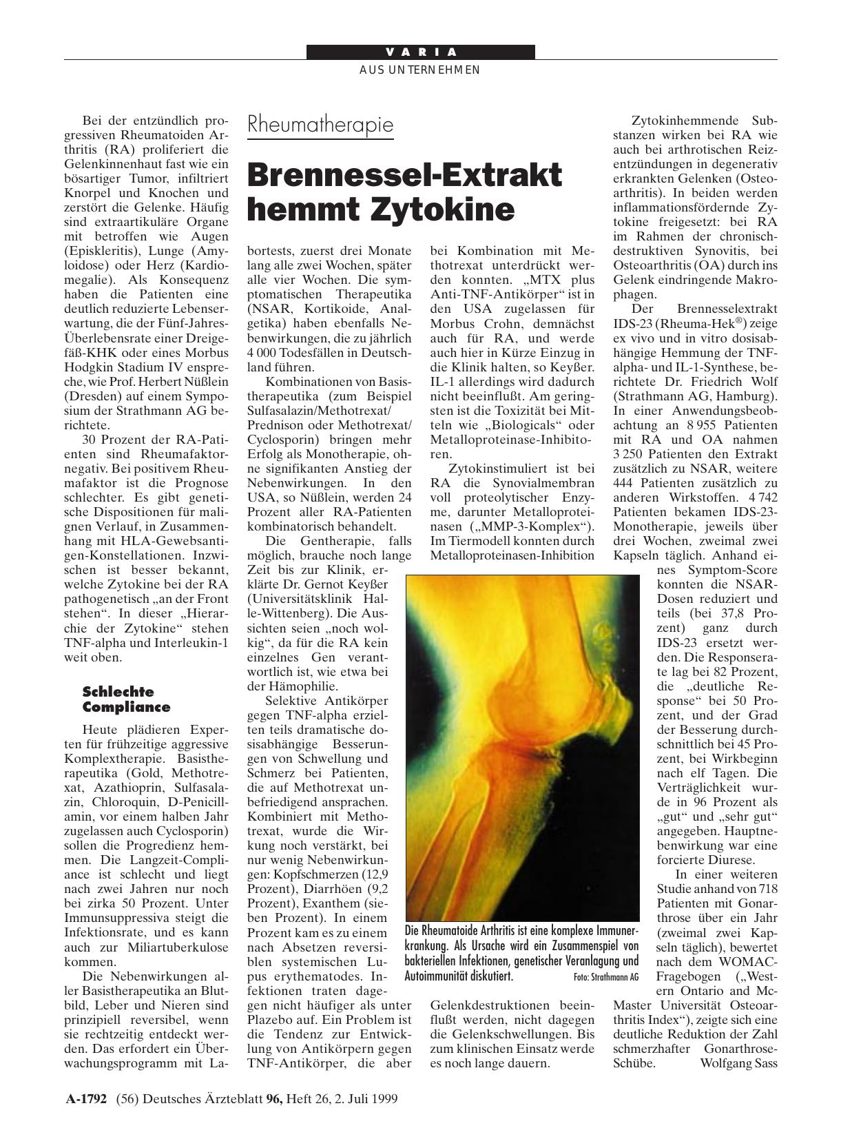 Vorschauseite 1: Rheumatherapie: Brennessel-Extrakt hemmt Zytokine