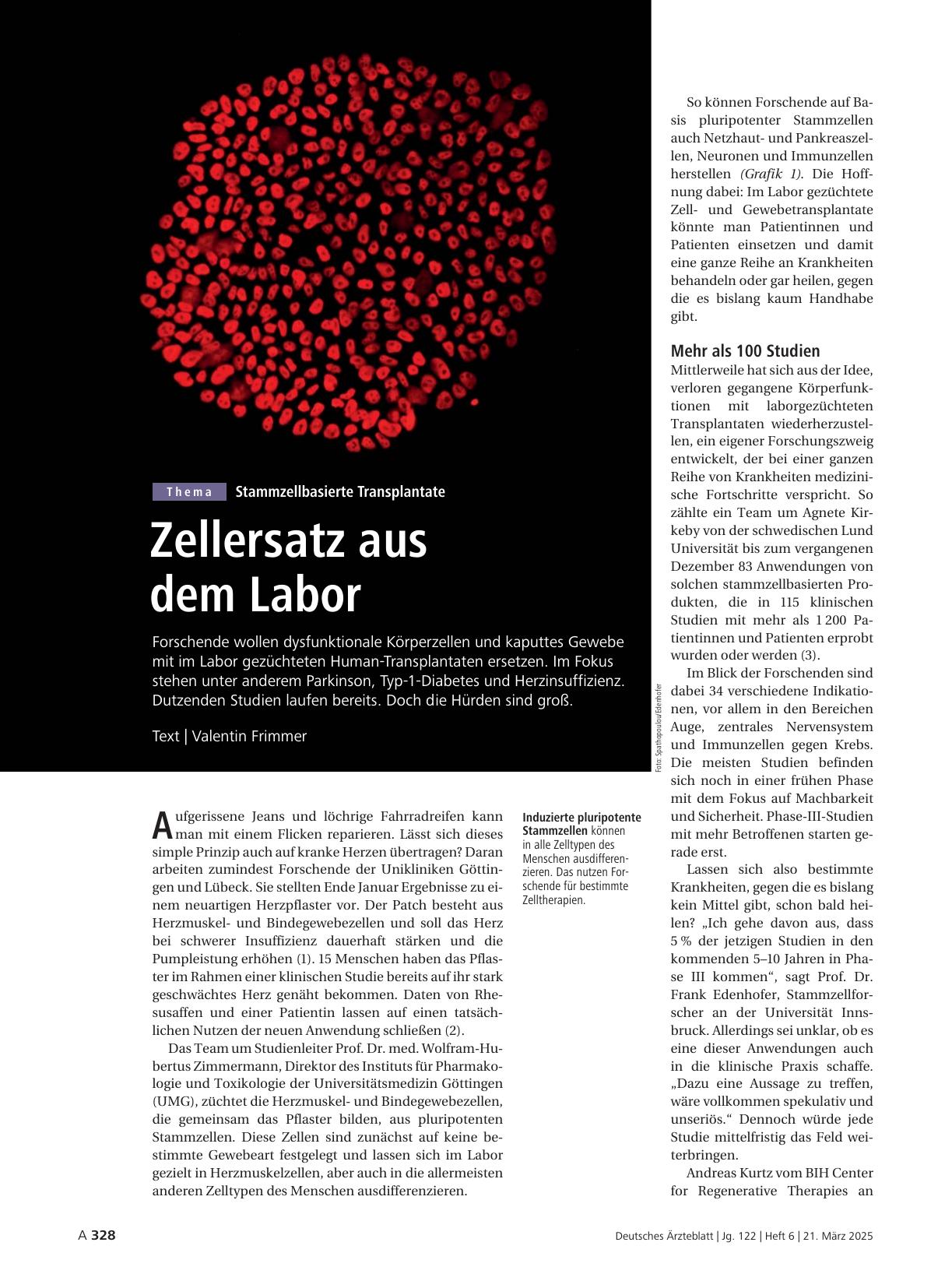 Vorschauseite 1: Stammzellbasierte Transplantate: Zellersatz aus dem Labor