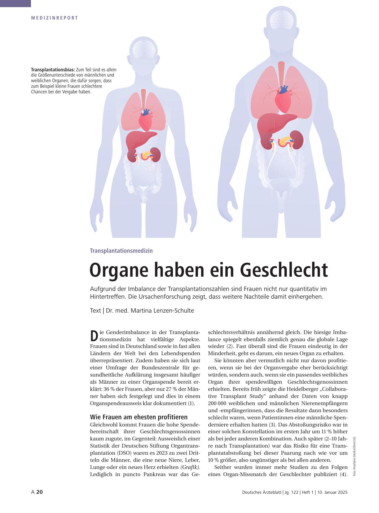 Vorschauseite 1: Transplantationsmedizin: Organe haben ein Geschlecht