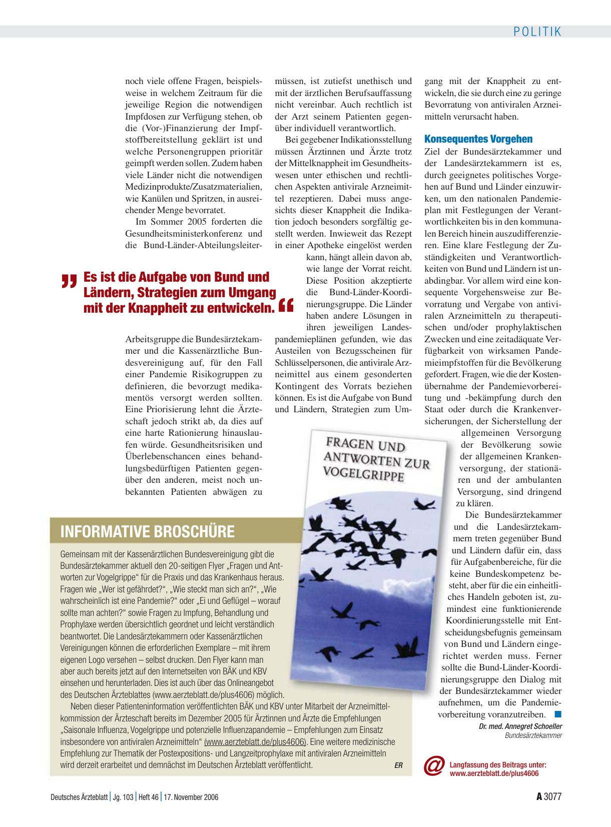Vorschauseite 1: Informative Broschüre