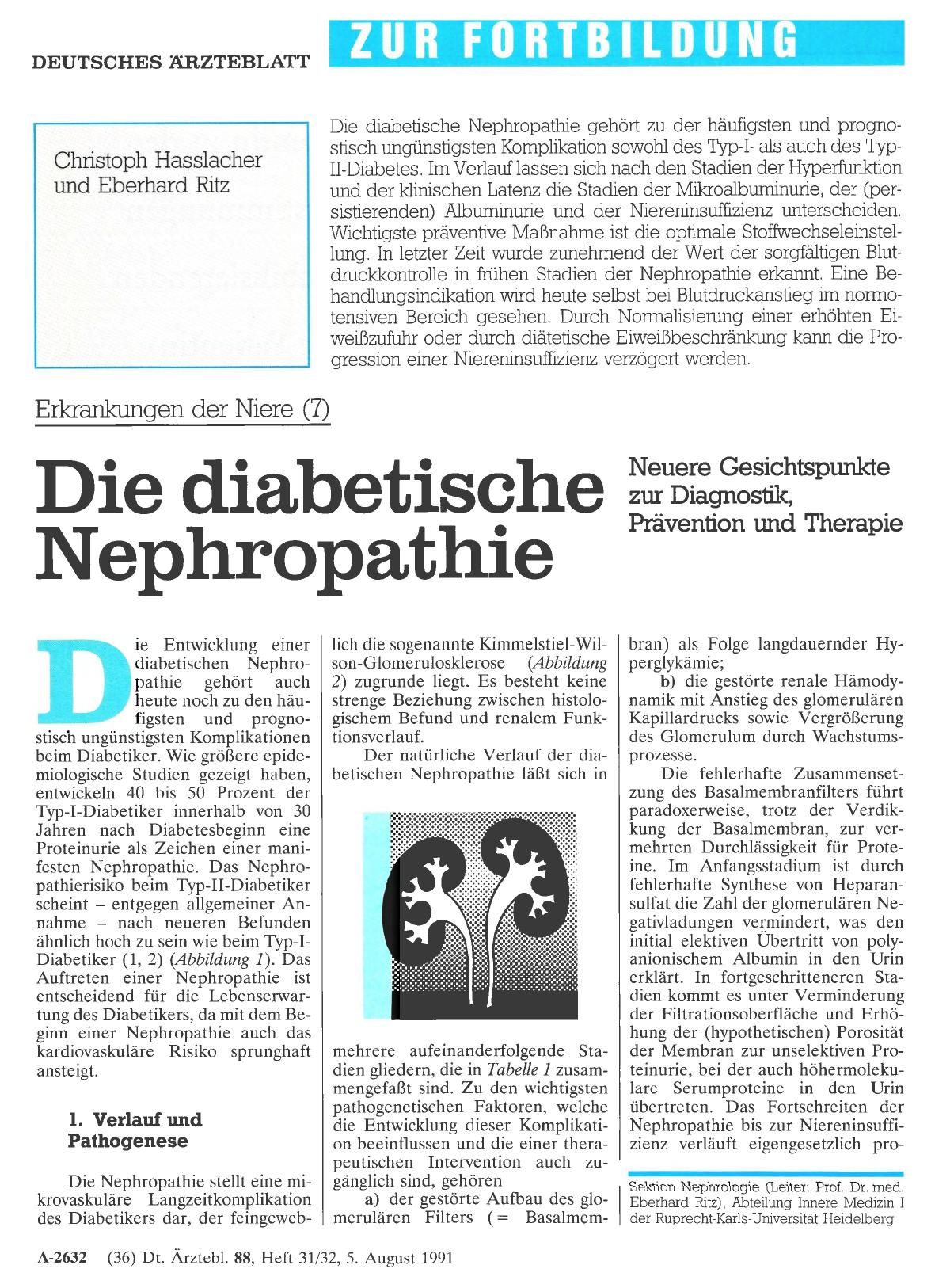 Vorschauseite 1: Erkrankungen der Niere (7): Die diabetische Nephropathie