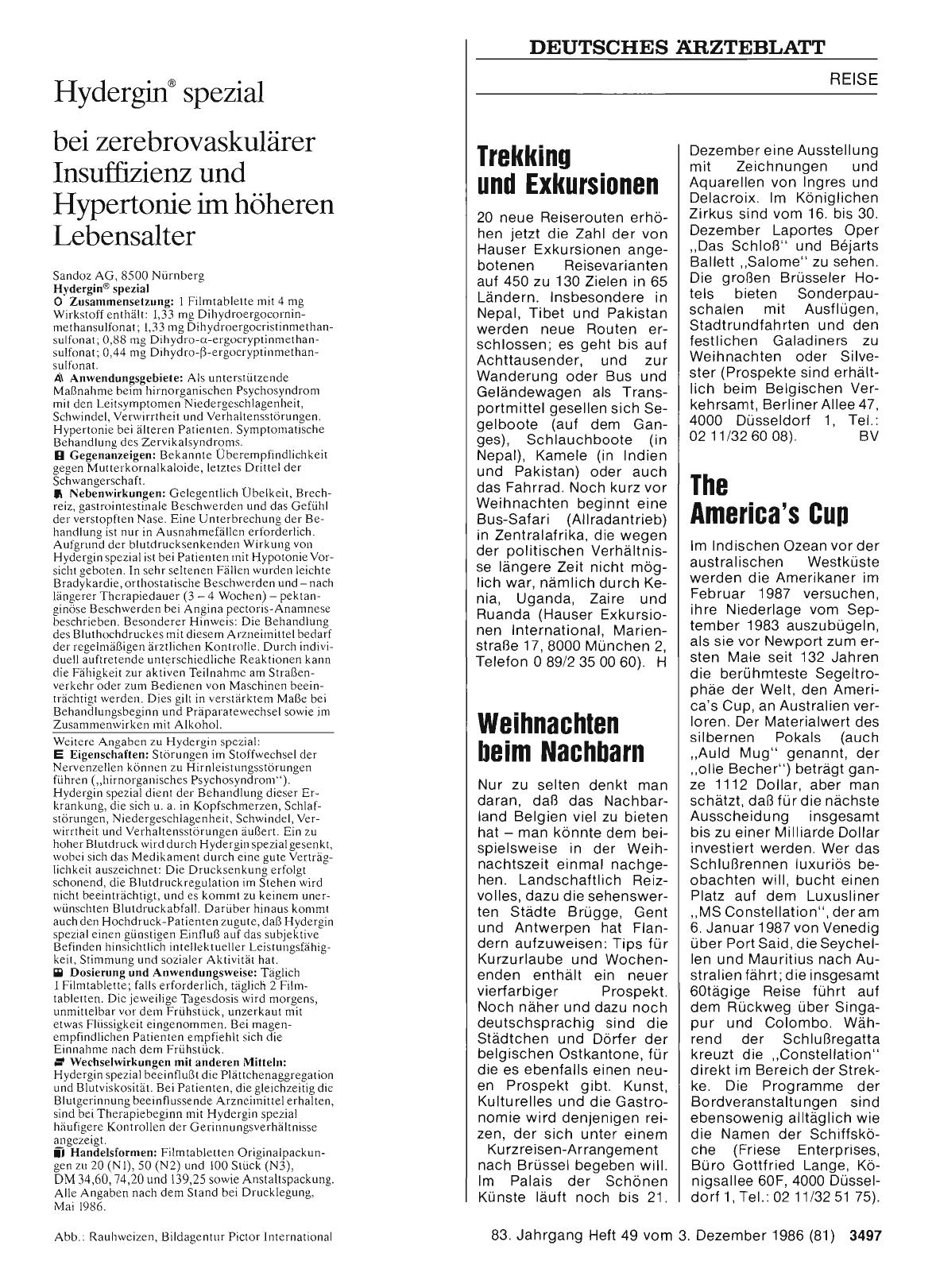 Vorschauseite 1: Weihnachten beim Nachbarn