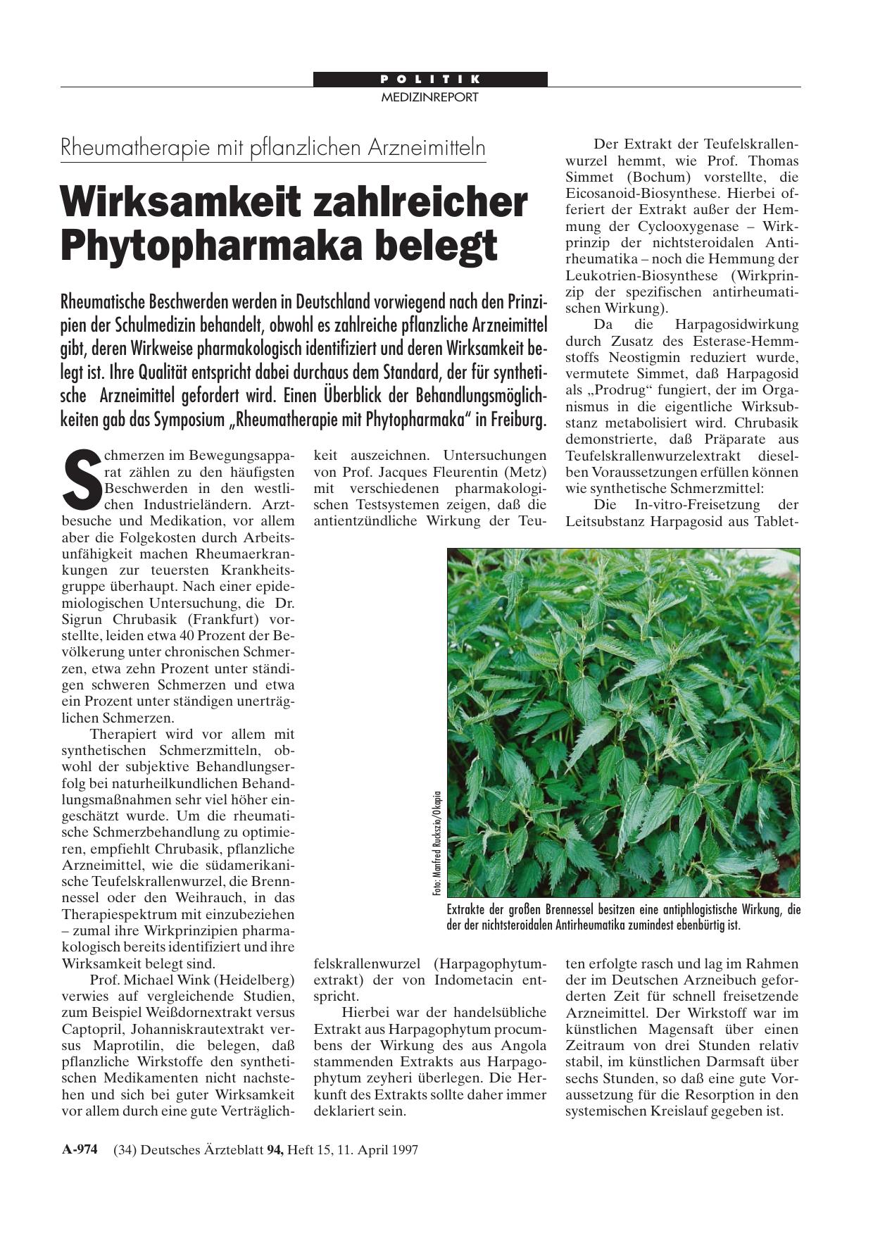 Vorschauseite 1: Rheumatherapie mit pflanzlichen Arzneimitteln: Wirksamkeit zahlreicher Phytopharmaka belegt