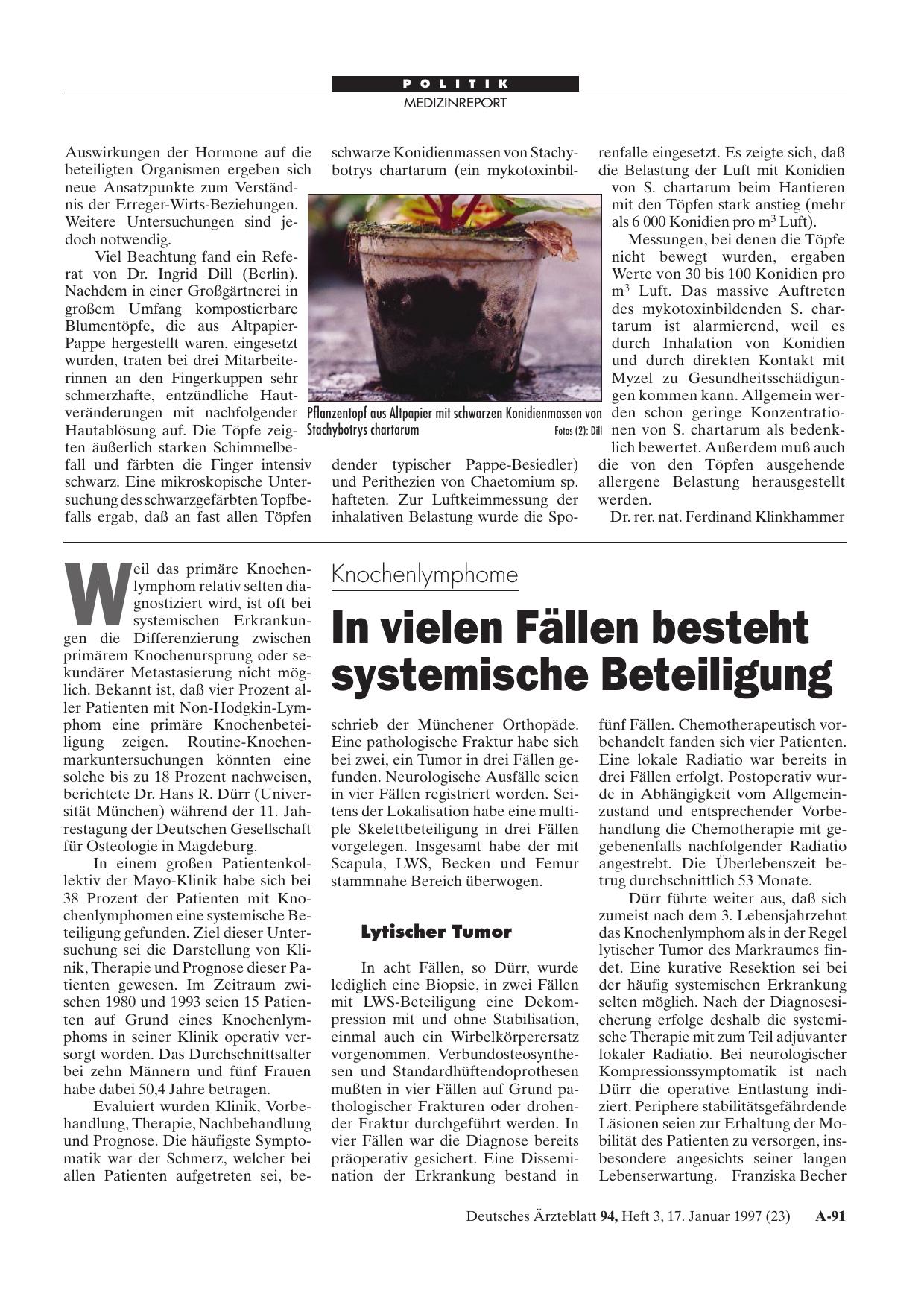 Vorschauseite 1: Knochenlymphome: In vielen Fällen besteht systemische Beteiligung