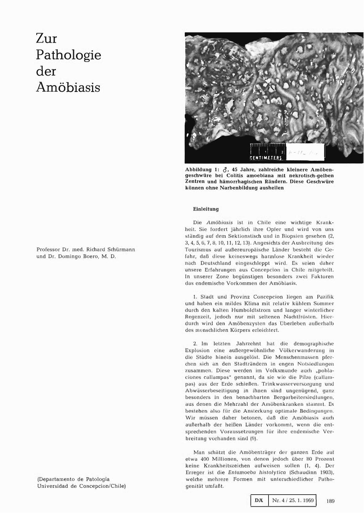 Vorschauseite 1: Zur Pathologie der Amöbiasis