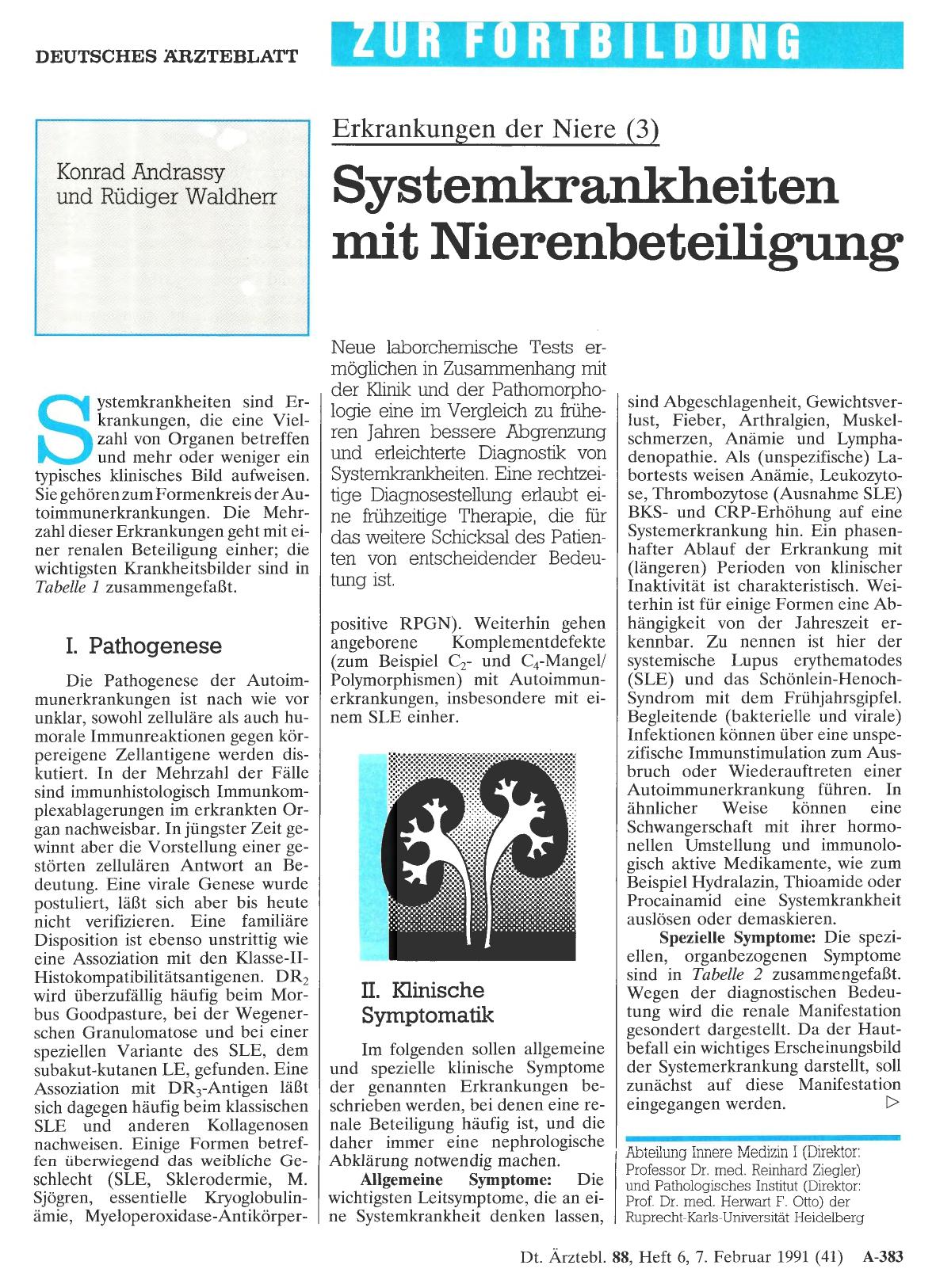 Vorschauseite 1: Erkrankungen der Niere (3): Systemkrankheiten mit Nierenbeteiligung