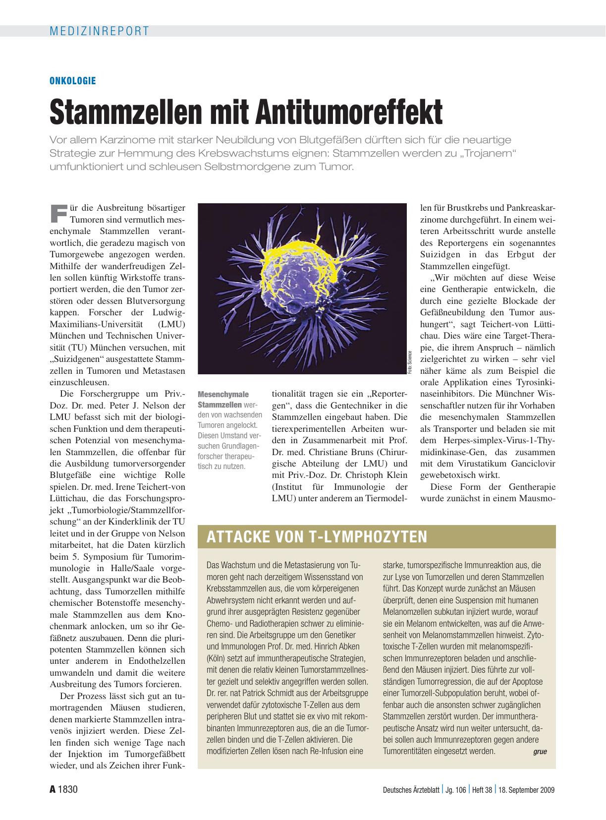 Vorschauseite 1: Onkologie: Stammzellen mit Antitumoreffekt