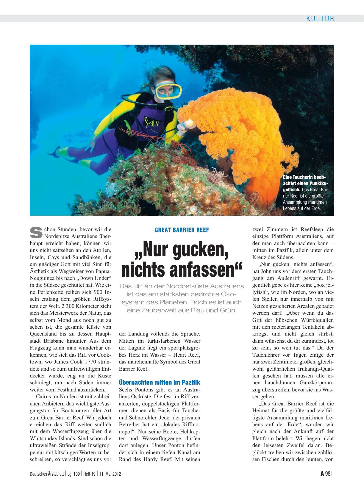 Vorschauseite 1: Great Barrier Reef: „Nur gucken, nichts anfassen“