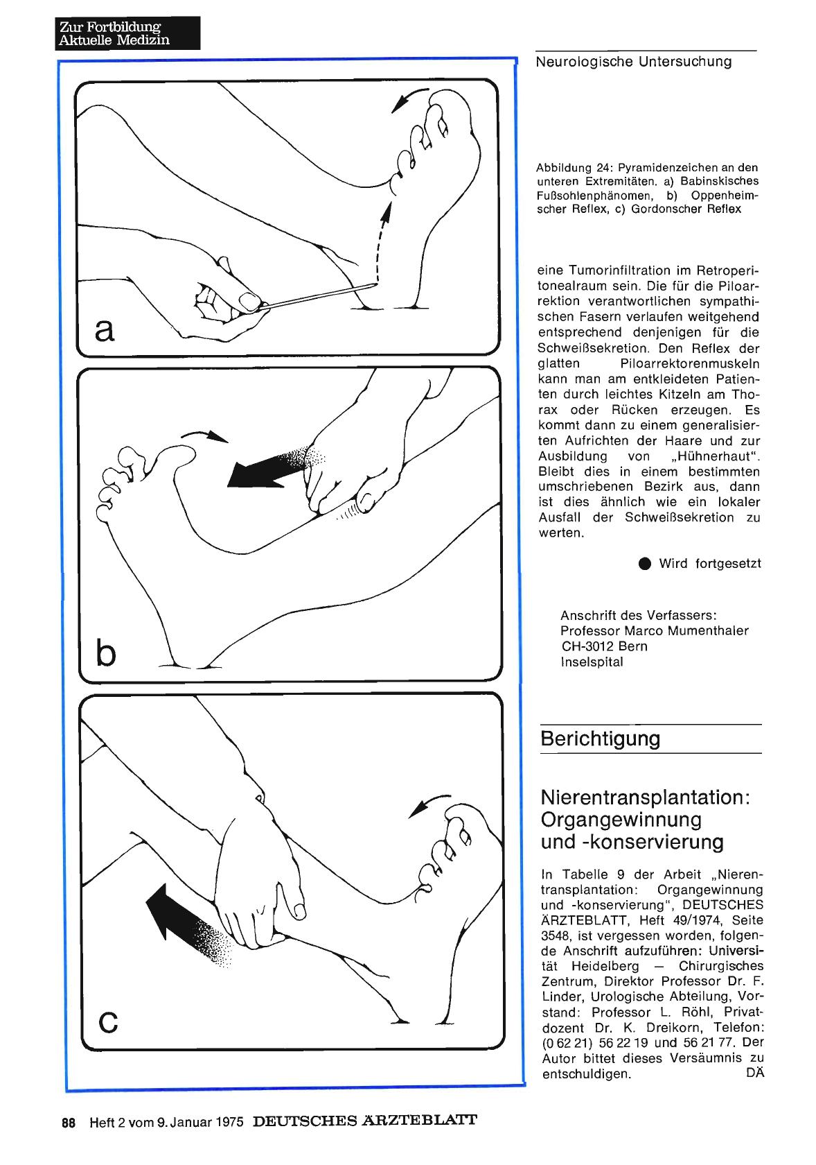 Vorschauseite 1: Nierentransplantation: Organgewinnung und -konservierung