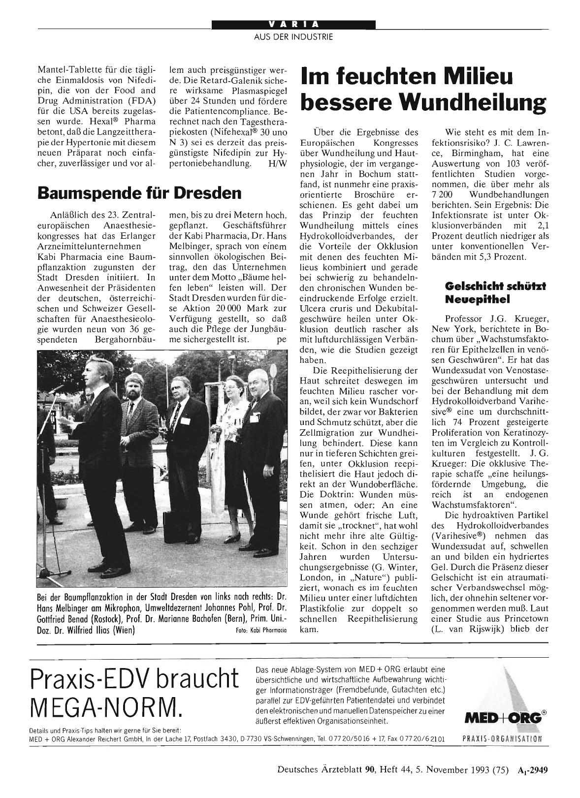 Vorschauseite 1: Baumspende für Dresden