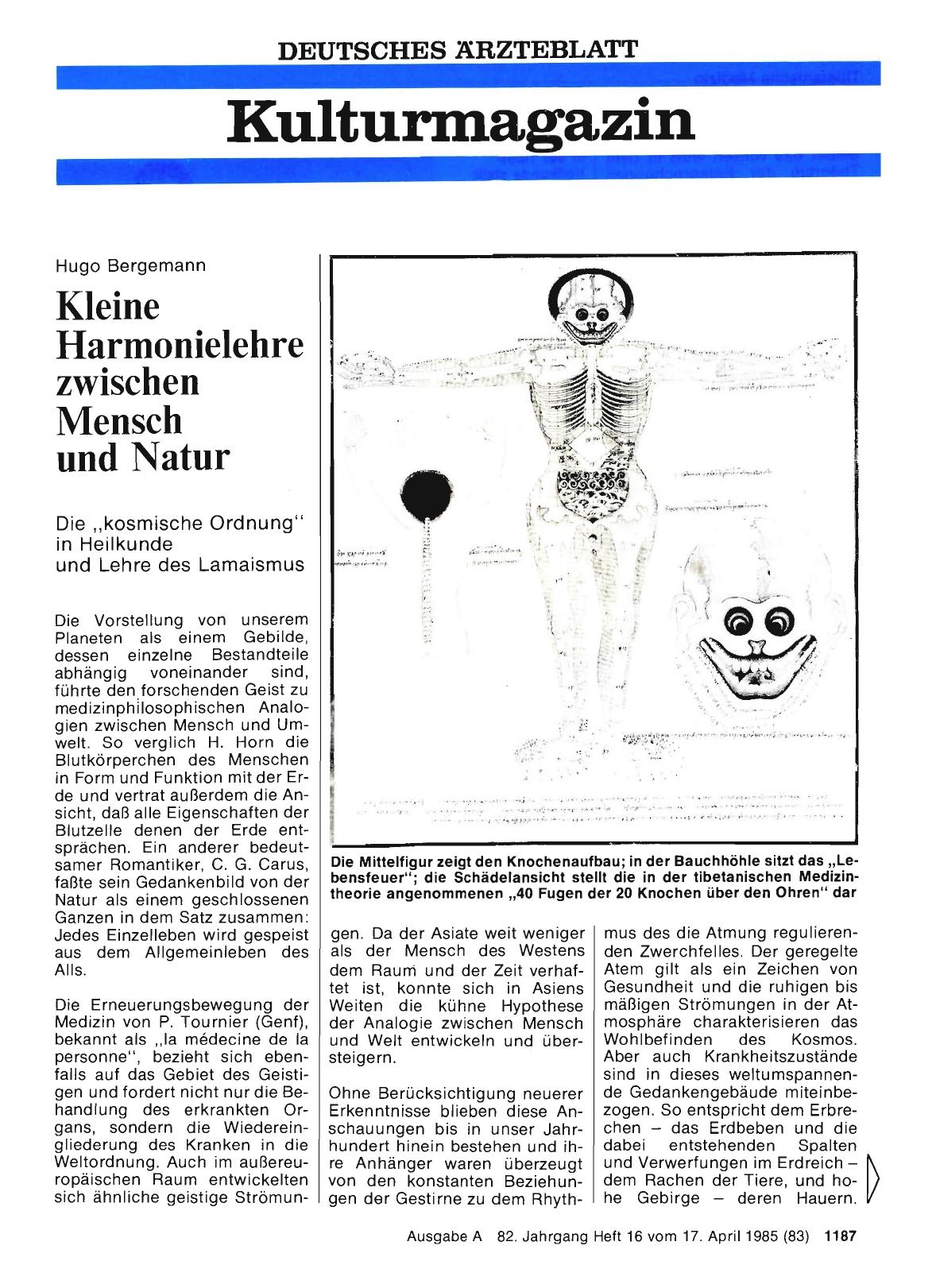 Vorschauseite 1: Kleine Harmonielehre zwischen Mensch und Natur