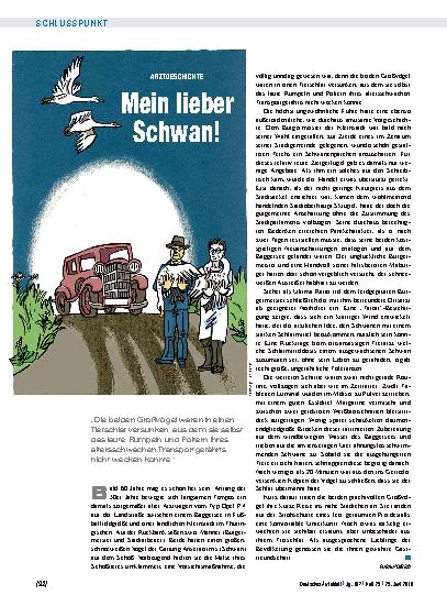 Vorschauseite 1: Arztgeschichte: Mein lieber Schwan!