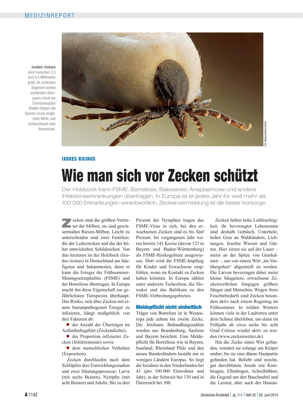 Vorschauseite 1: Ixodes ricinus: Wie man sich vor Zecken schützt