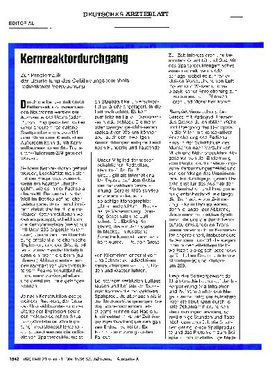 Vorschauseite 1: Kernreaktordurchgang