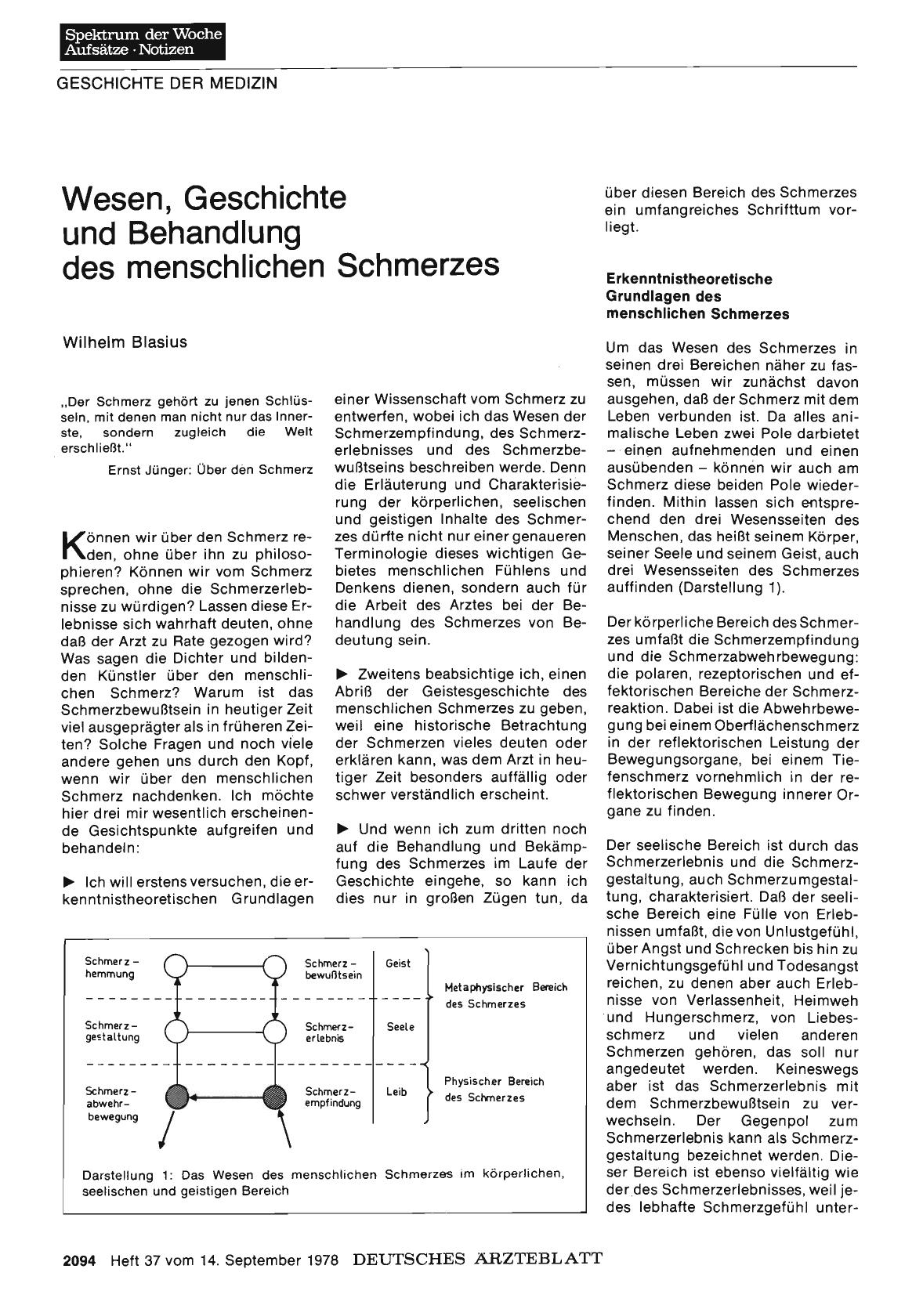 Vorschauseite 1: Wesen, Geschichte und Behandlung des menschlichen Schmerzes