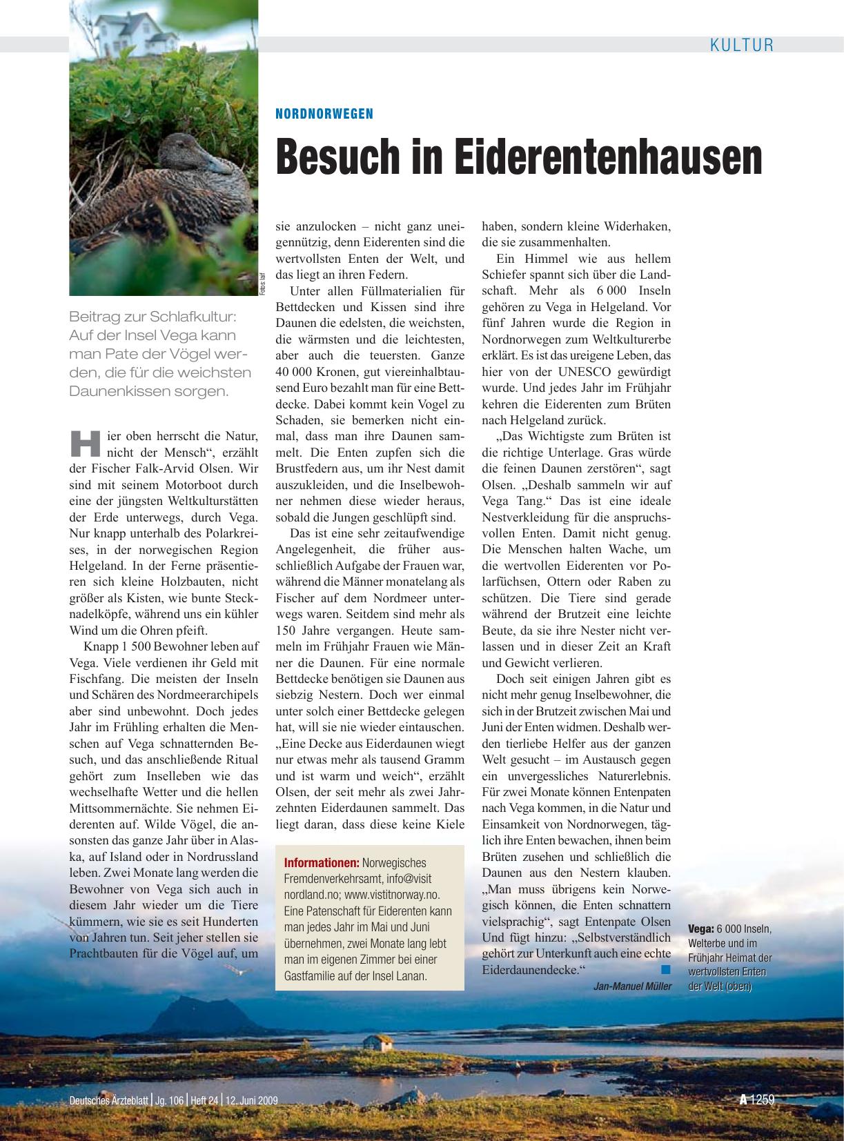 Vorschauseite 1: Nordnorwegen: Besuch in Eiderentenhausen