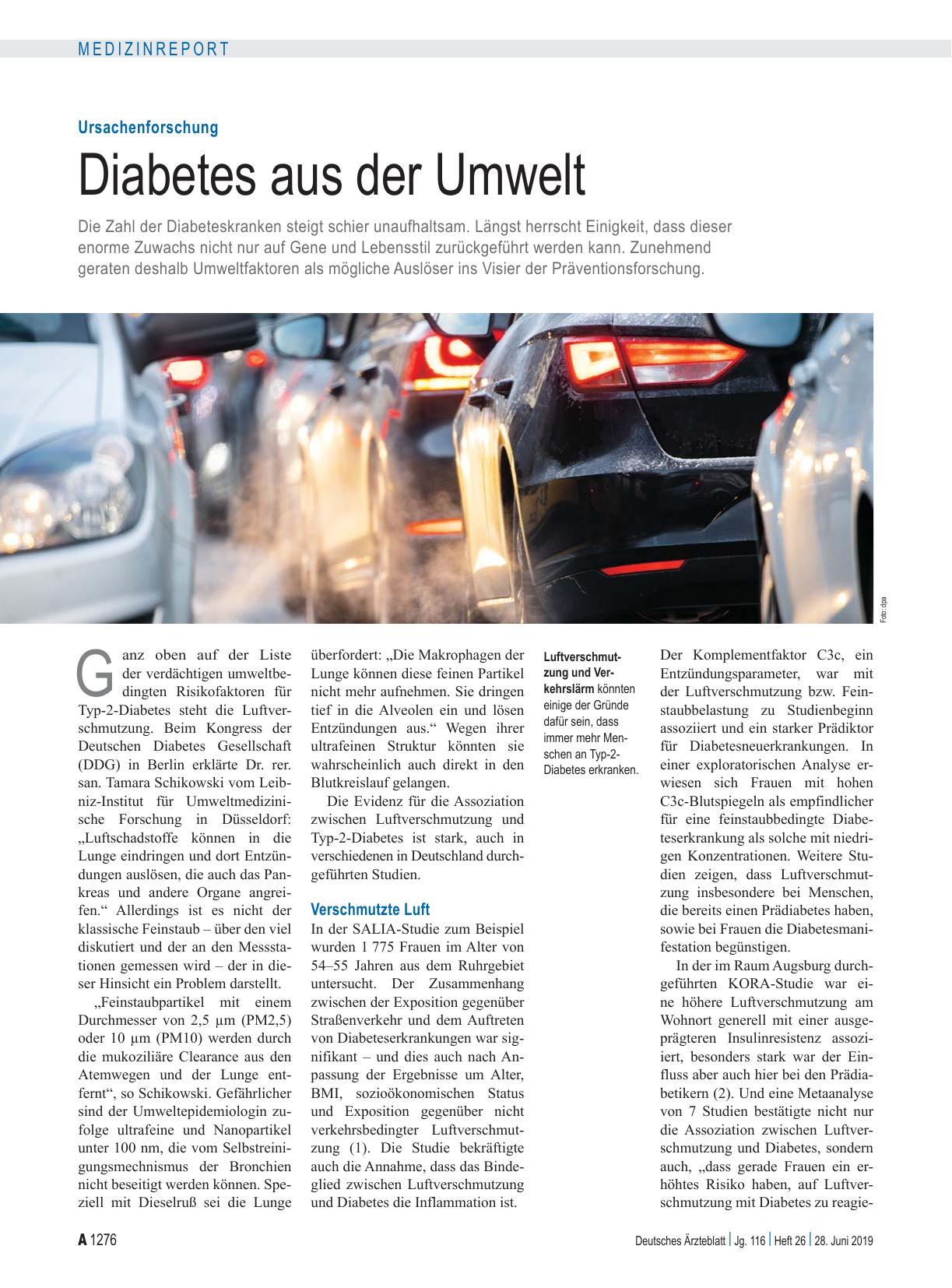 Vorschauseite 1: Ursachenforschung: Diabetes aus der Umwelt