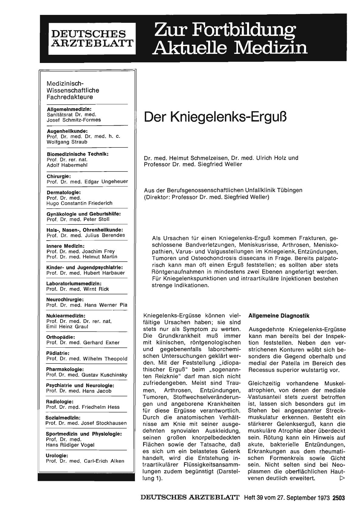 Vorschauseite 1: Der Kniegelenks-Erguß