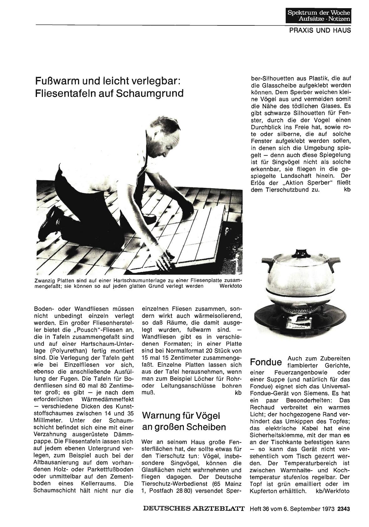 Vorschauseite 1: Fondue