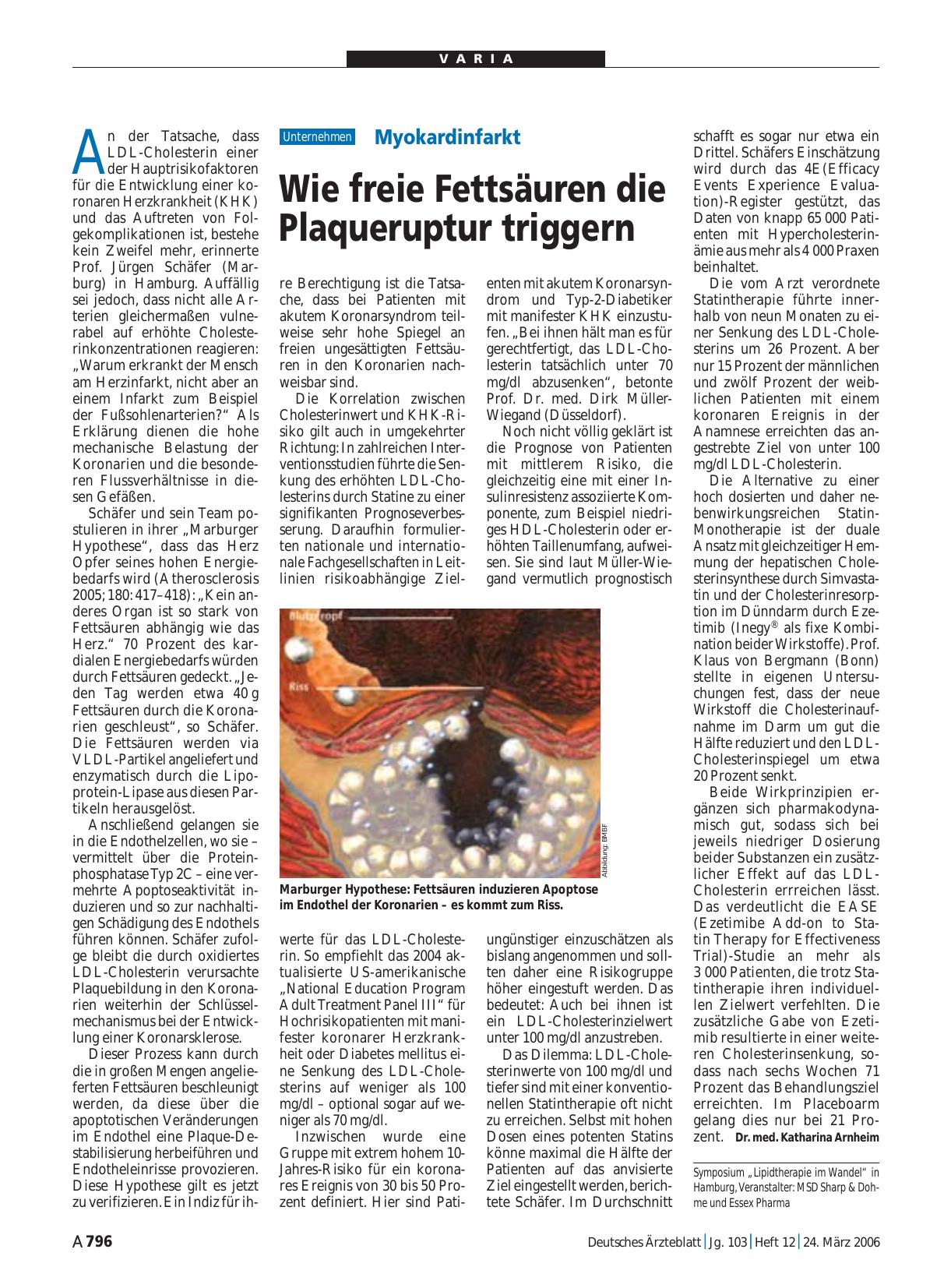 Vorschauseite 1: Myokardinfarkt: Wie freie Fettsäuren die Plaqueruptur triggern