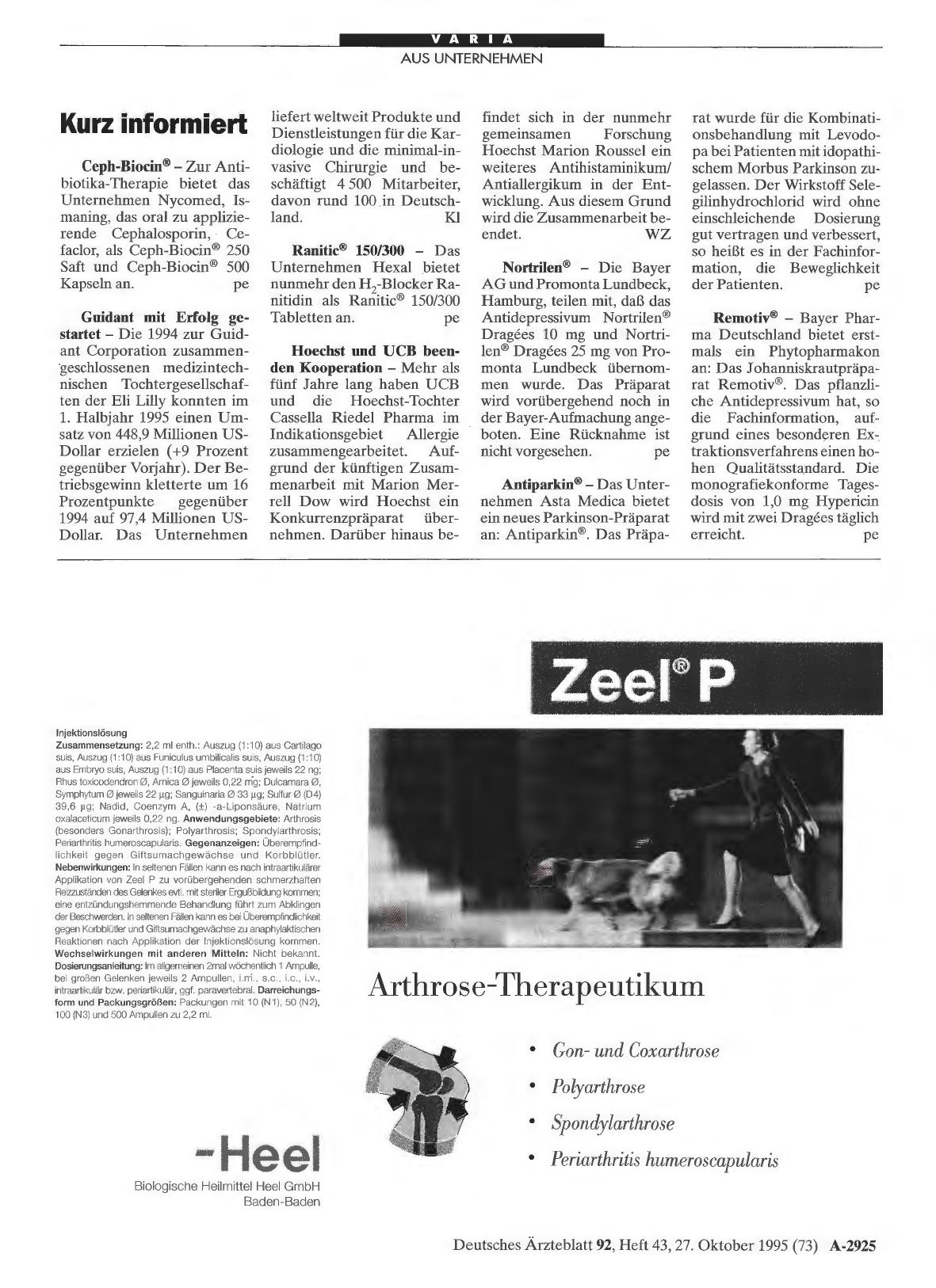Vorschauseite 1: Kurz informiert