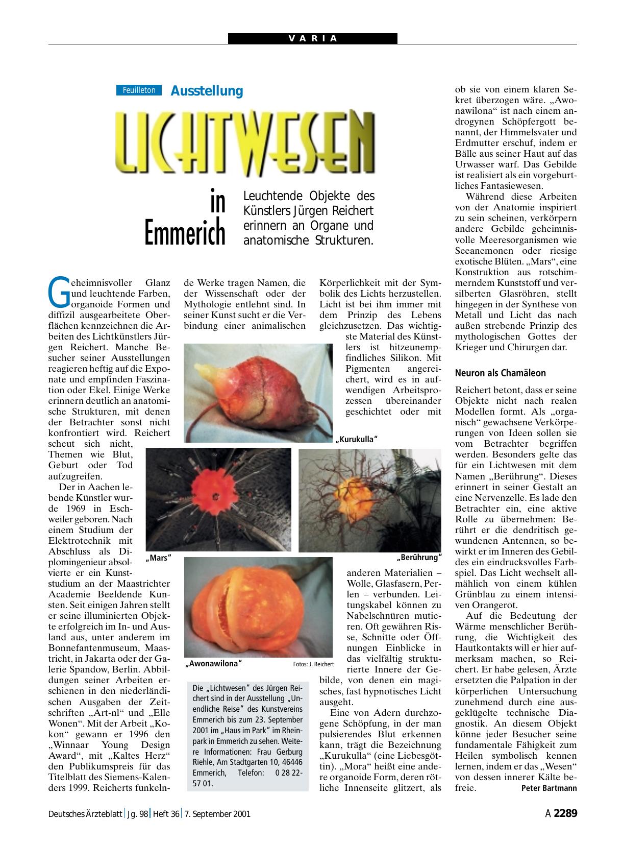 Vorschauseite 1: Ausstellung: Lichtwesen in Emmerich