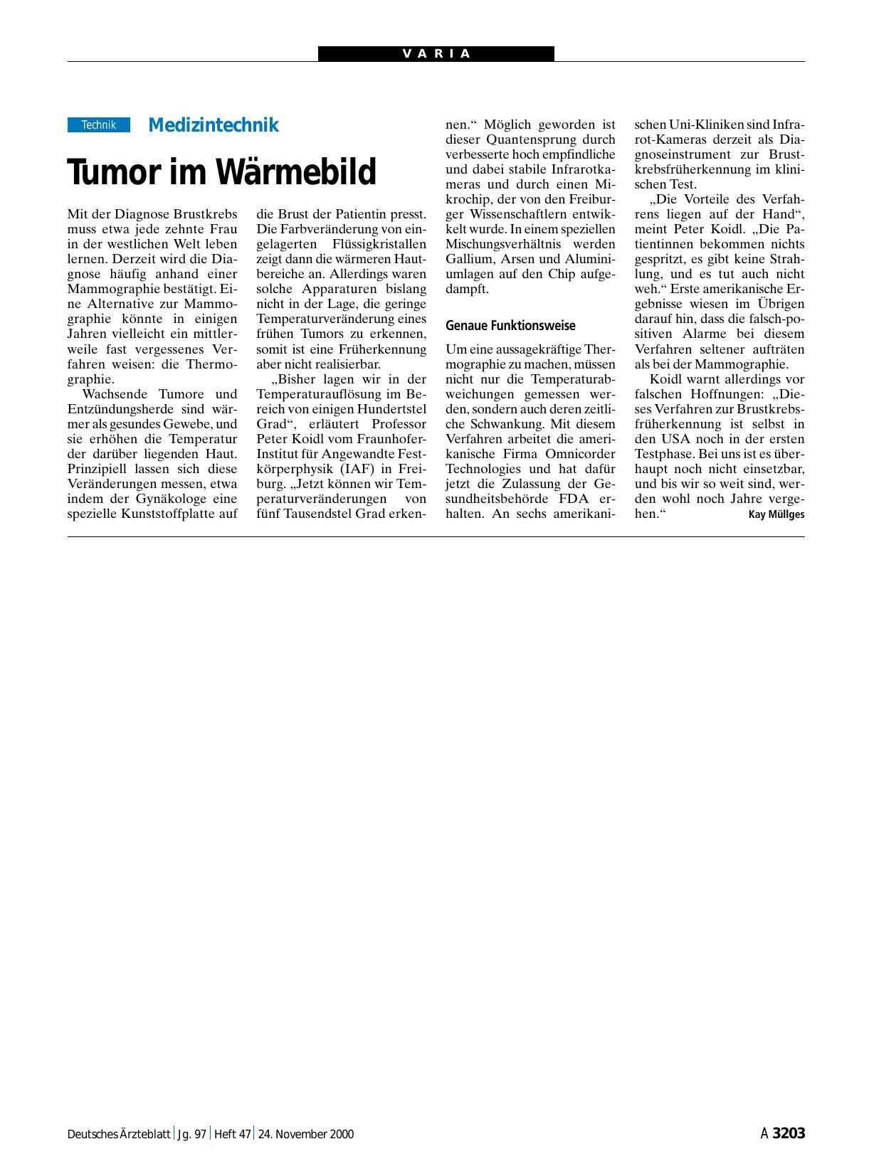 Vorschauseite 1: Medizintechnik: Tumor im Wärmebild