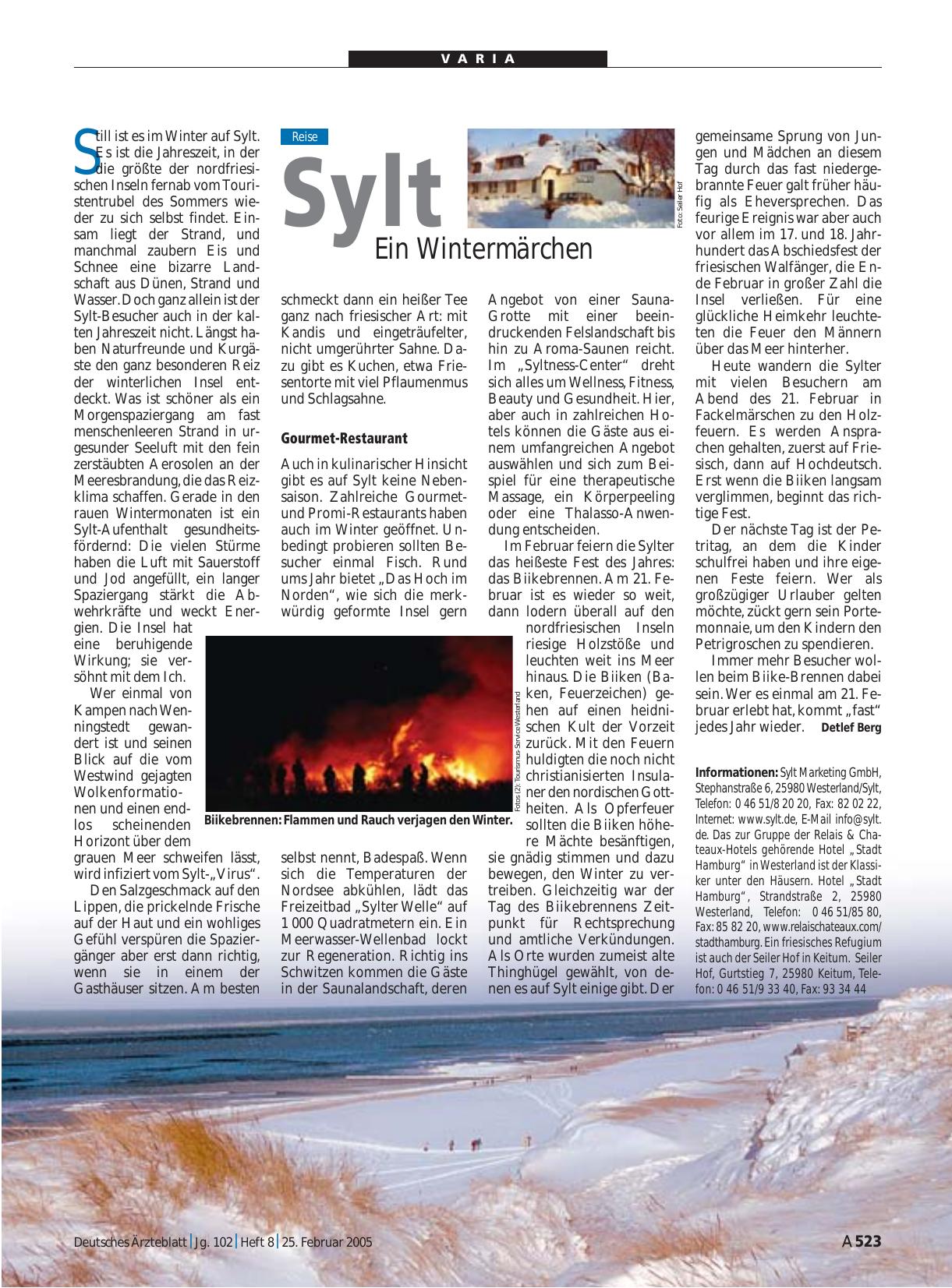 Vorschauseite 1: Sylt: Ein Wintermärchen