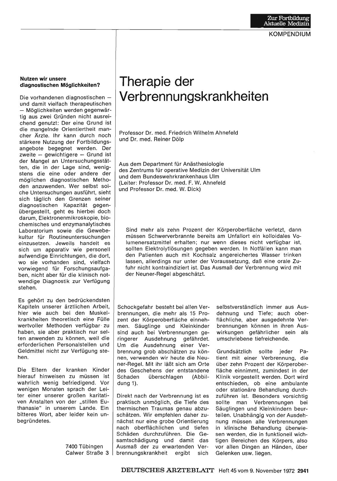 Vorschauseite 1: Therapie der Verbrennungskrankheiten
