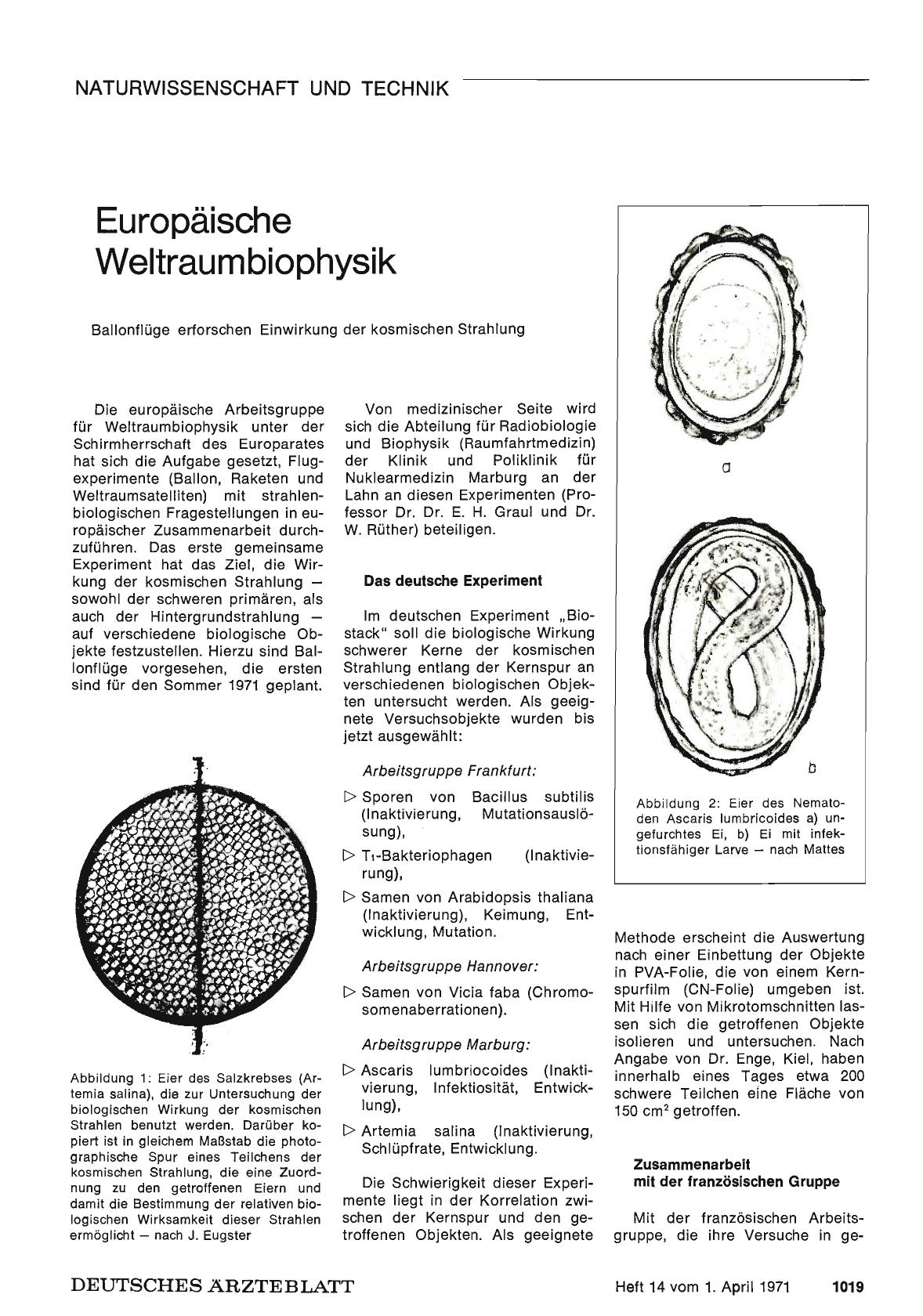 Vorschauseite 1: Europäische Weltraumbiophysik