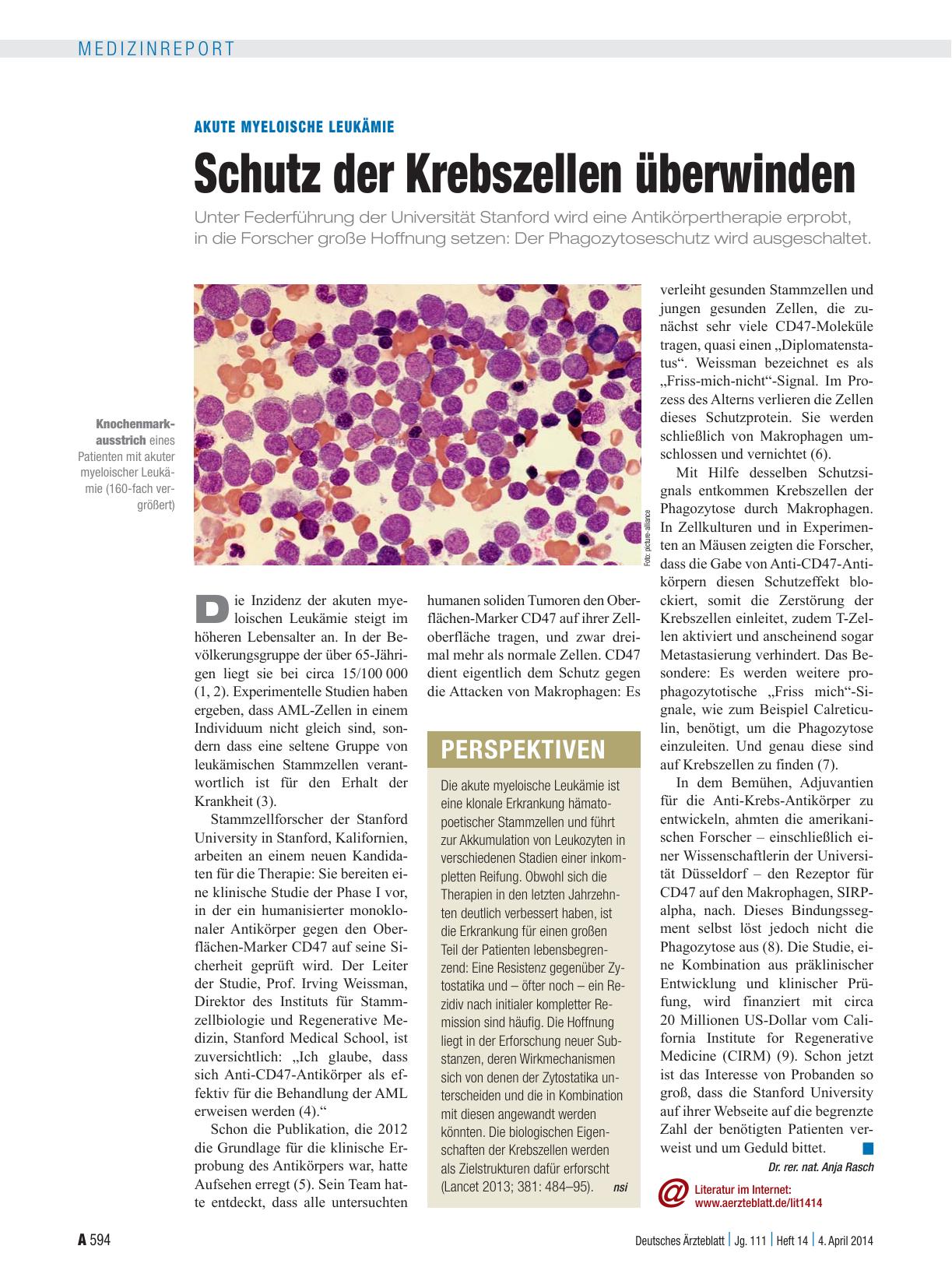 Vorschauseite 1: Akute Myeloische Leukämie: Schutz der Krebszellen überwinden