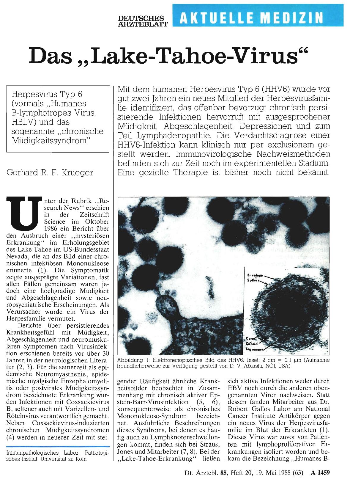 Vorschauseite 1: Das „Lake-Tahoe-Virus“
