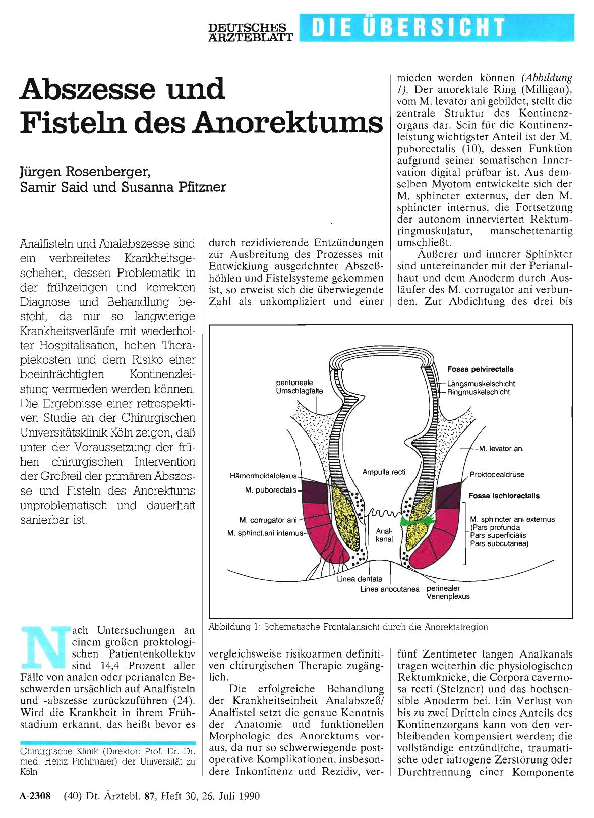 Vorschauseite 1: Abszesse und Fisteln des Anorektums