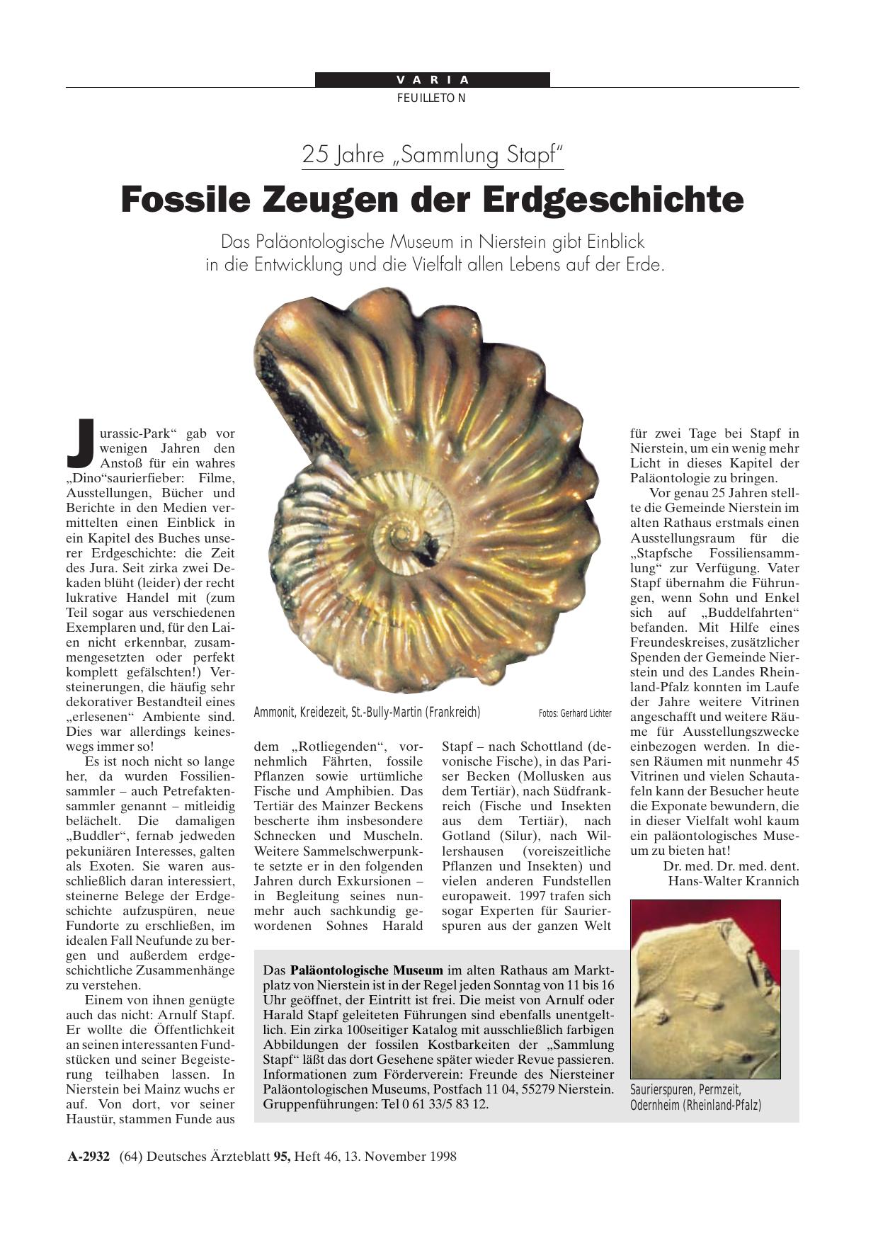 Vorschauseite 1: 25 Jahre „Sammlung Stapf“: Fossile Zeugen der Erdgeschichte
