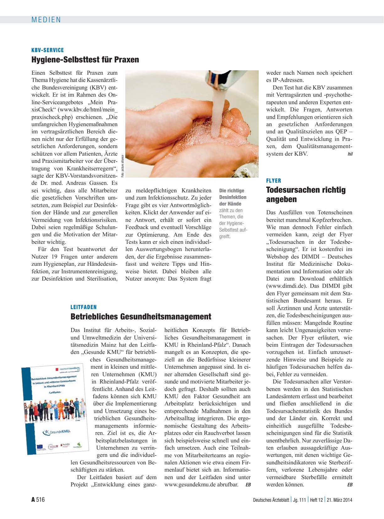 Vorschauseite 1: Flyer: Todesursachen richtig angeben