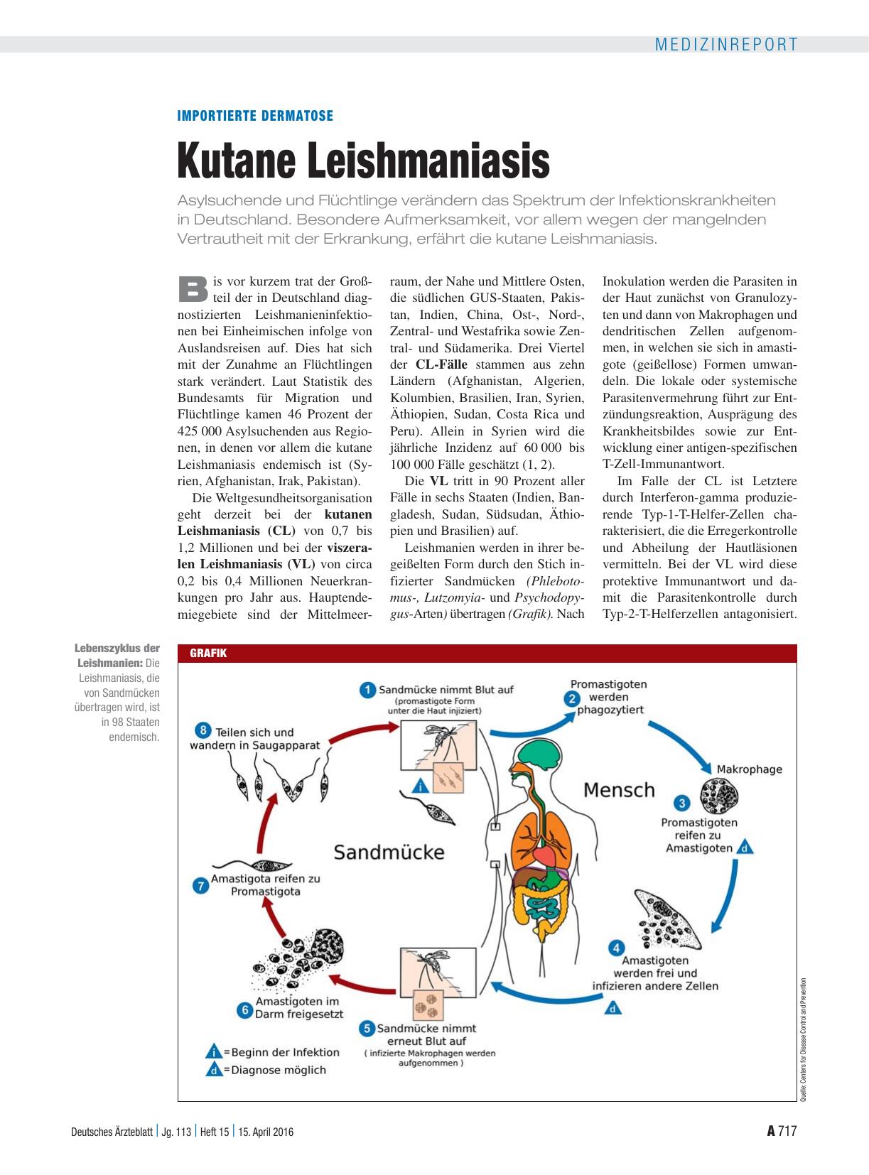 Vorschauseite 1: Importierte Dermatose: Kutane Leishmaniasis
